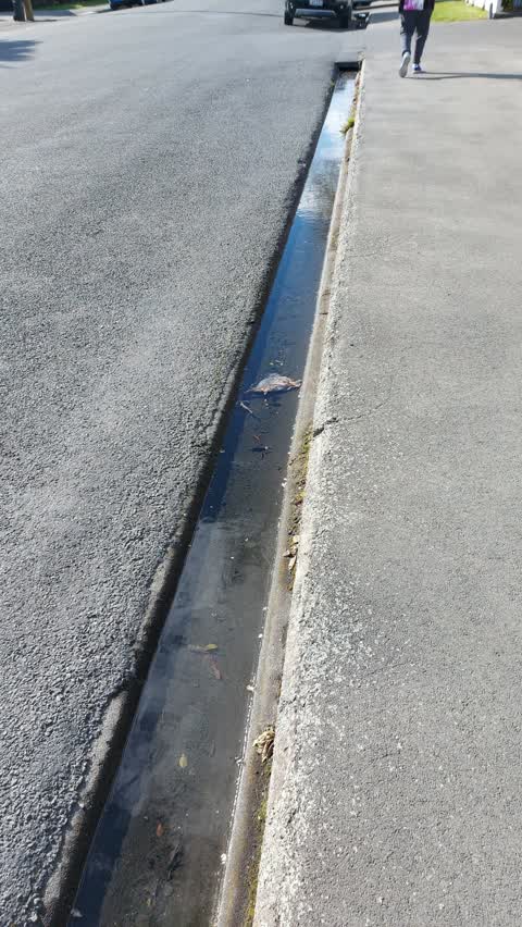 Water Leak, a report photo