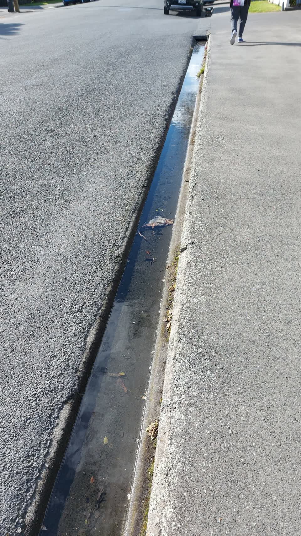 The photograph attached to this water leak report