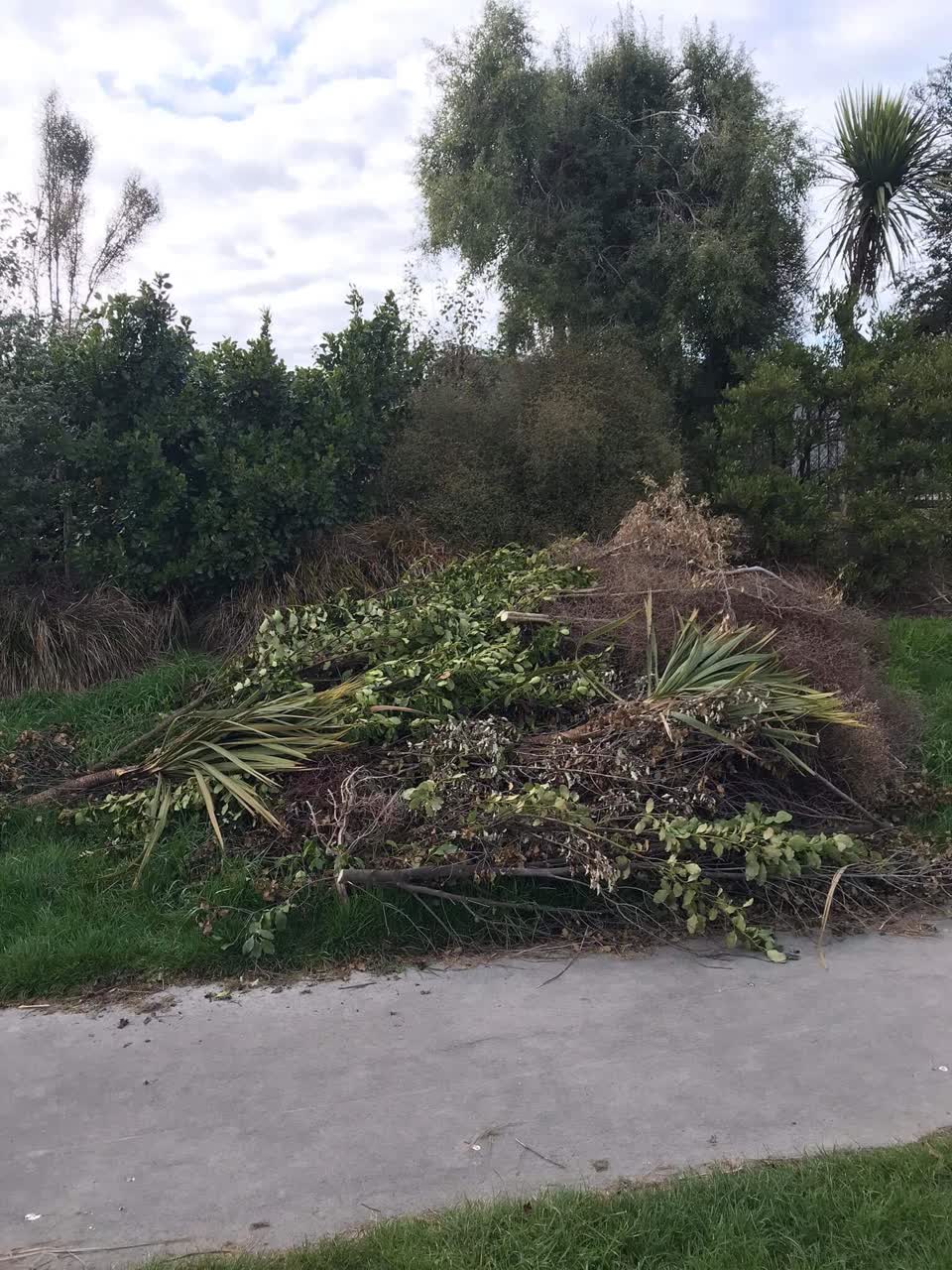 The photograph attached to this rubbish/recycling report