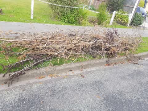 Rubbish/Recycling, a report photo