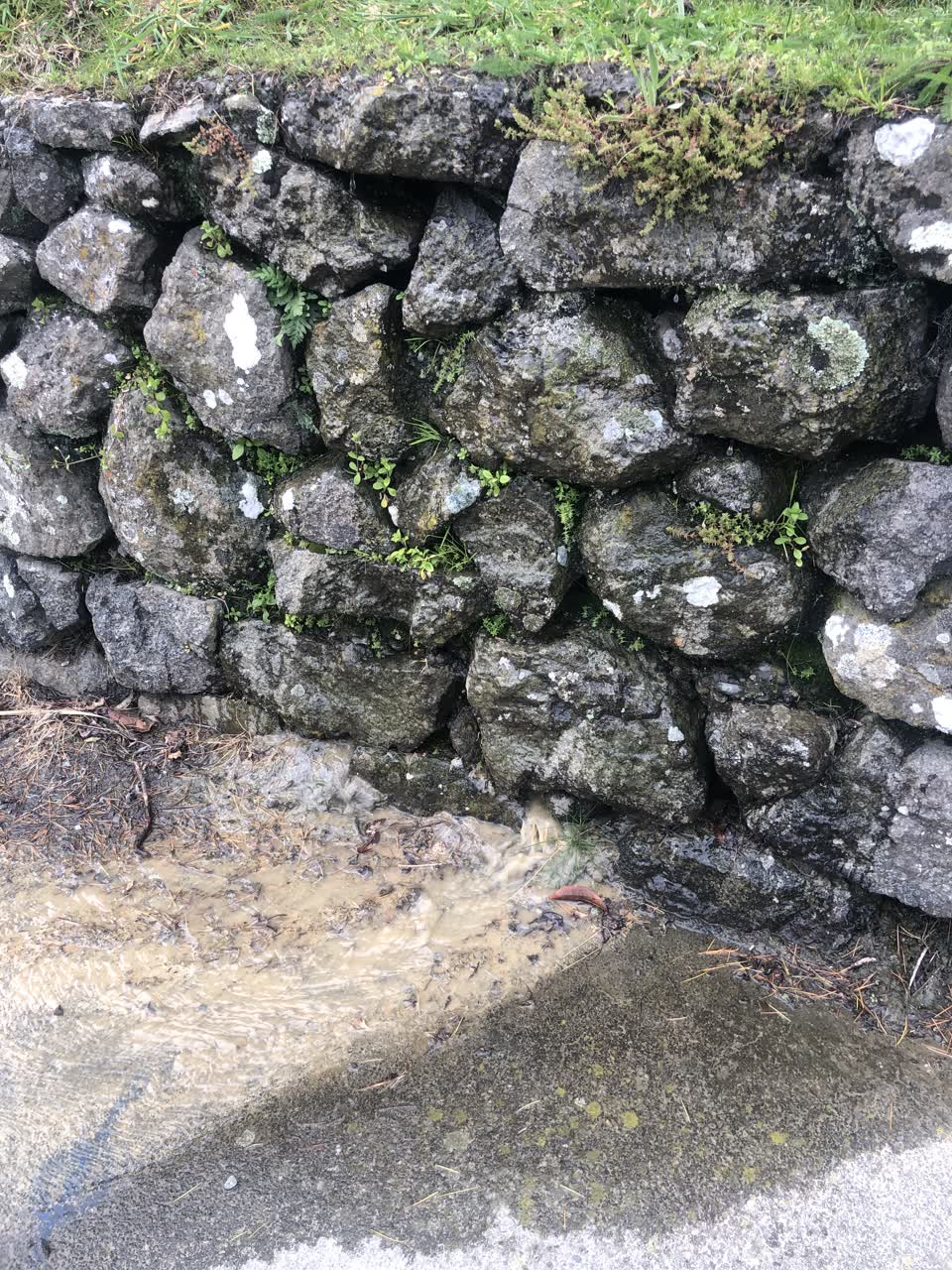 The photograph attached to this water leak report