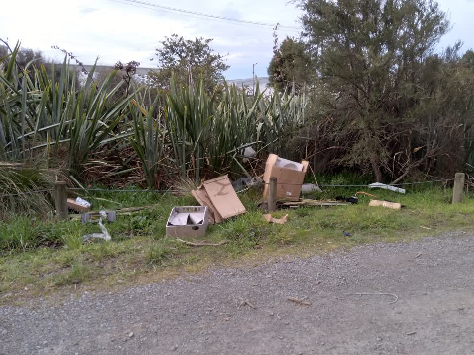 The photograph attached to this parks report
