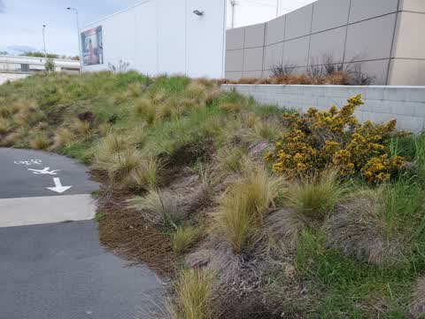 Roading/Streets — a report photo