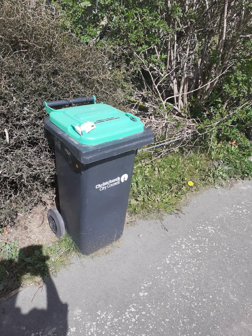 The photograph attached to this rubbish/recycling report