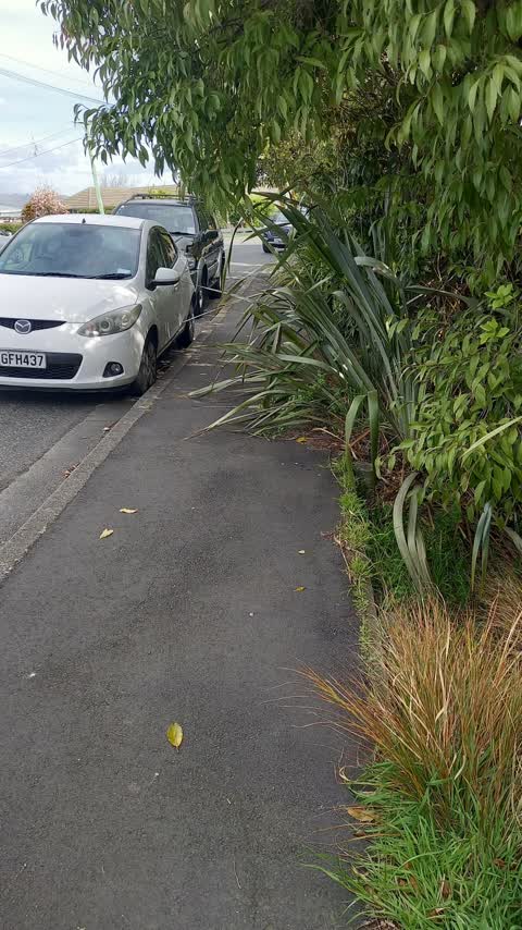 Roading/Streets, a report photo