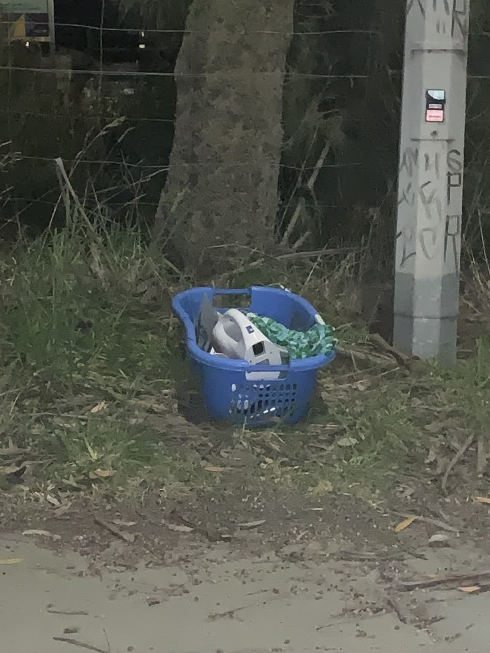 The photograph attached to this rubbish/recycling report