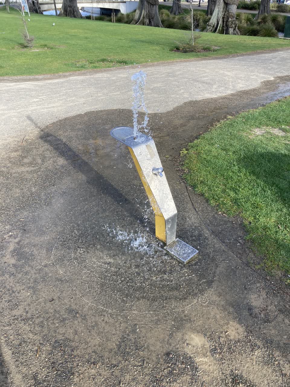 The photograph attached to this water leak report