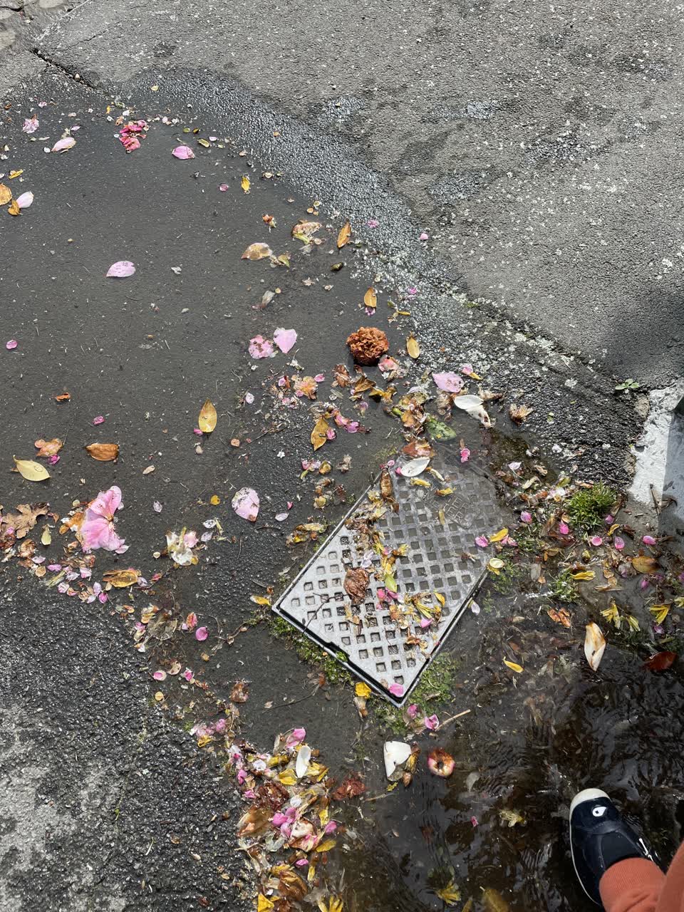The photograph attached to this water leak report
