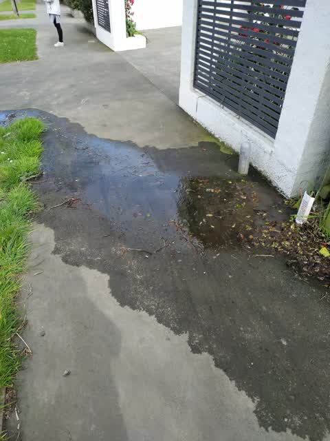 Roading/Streets, a report photo