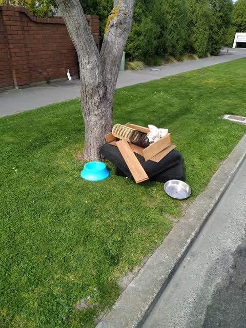 Rubbish/Recycling, a report photo