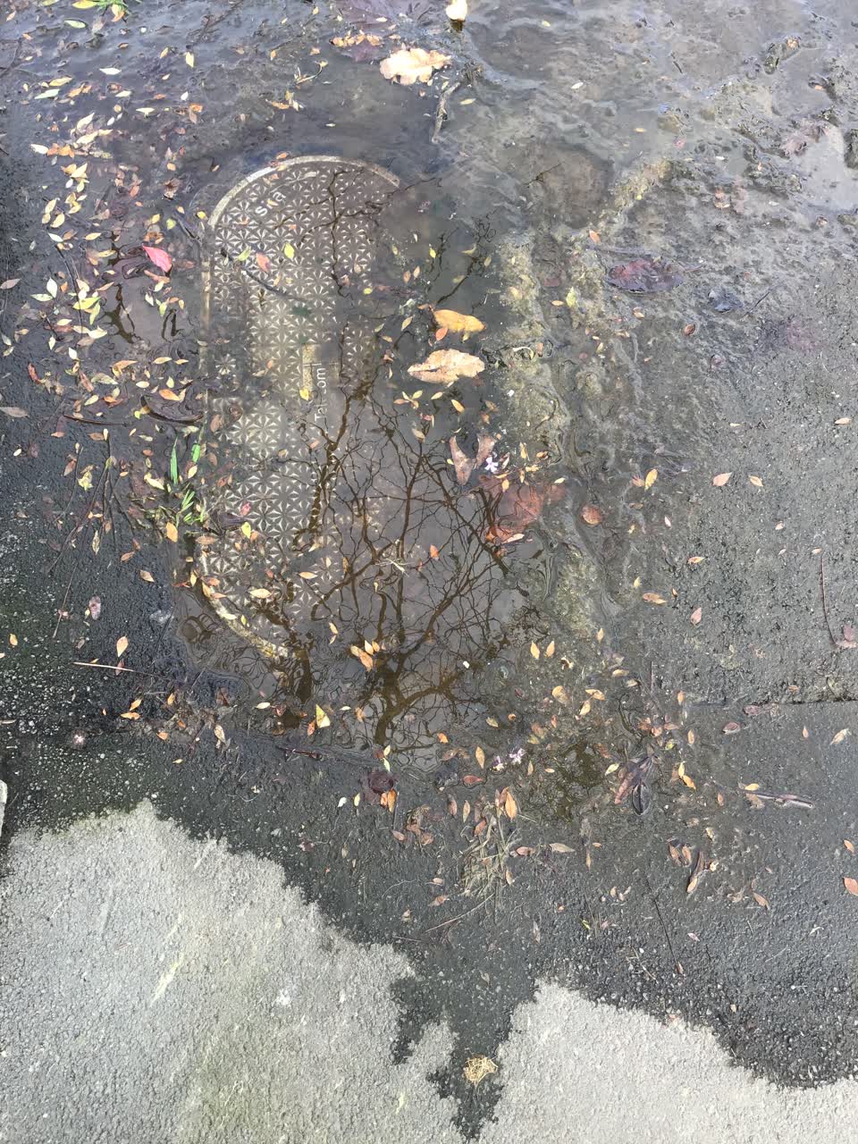 The photograph attached to this flooding report