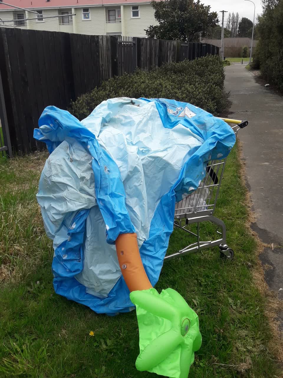 The photograph attached to this parks report
