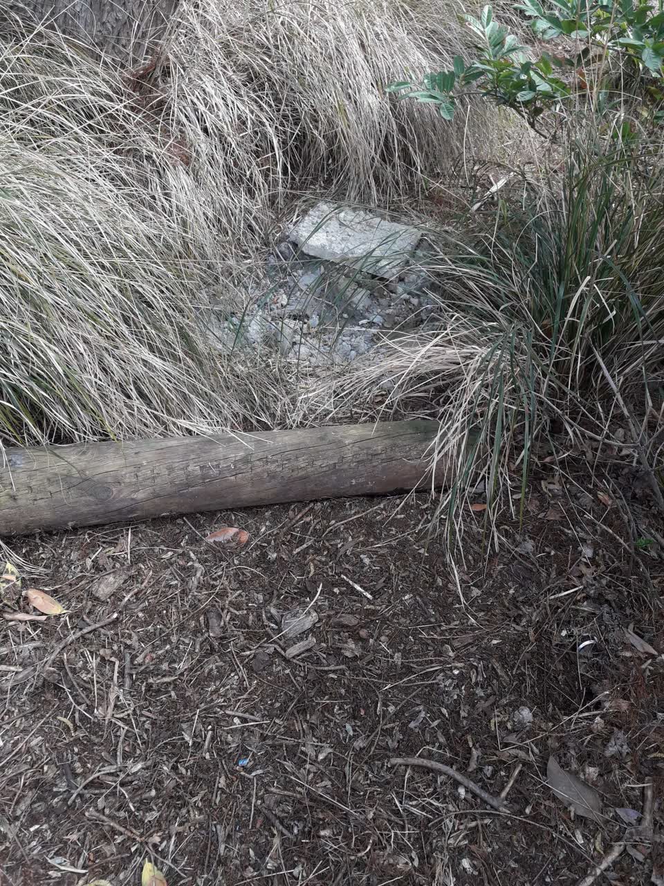 The photograph attached to this parks report