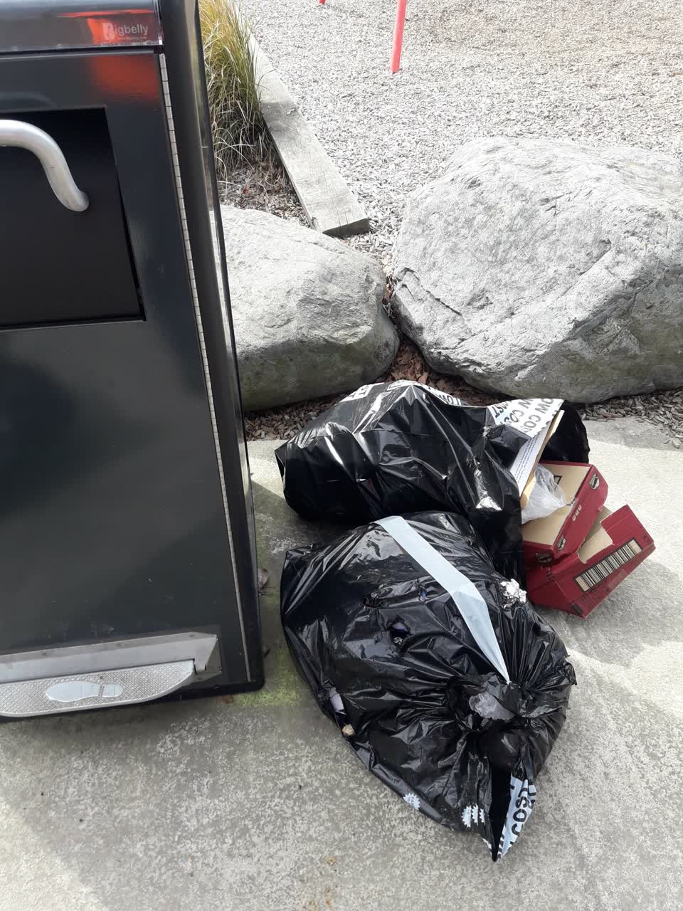 The photograph attached to this parks report