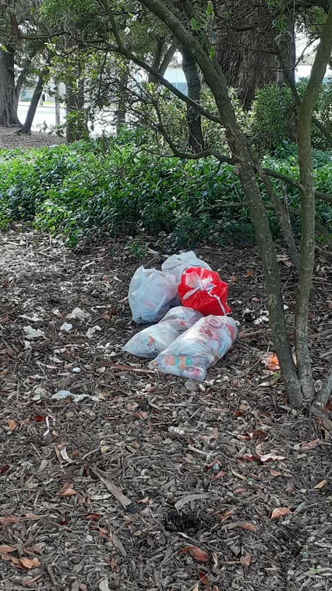 Rubbish/Recycling, a report photo