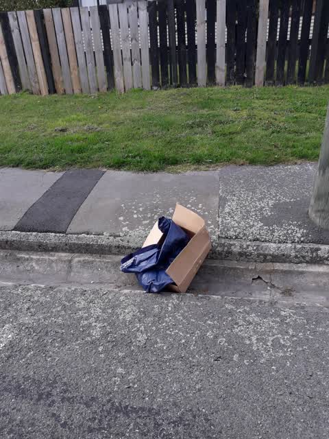 Rubbish/Recycling, a report photo