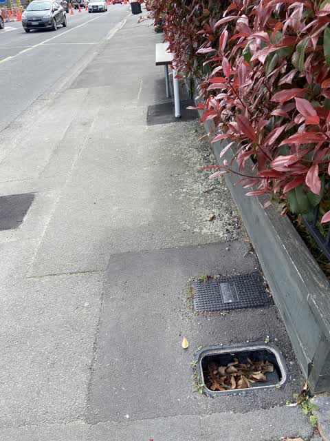 Roading/Streets, a report photo