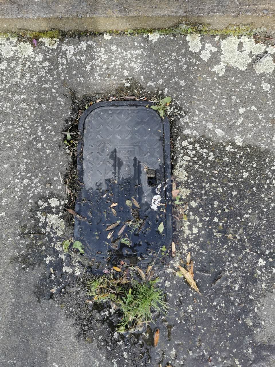 The photograph attached to this water leak report