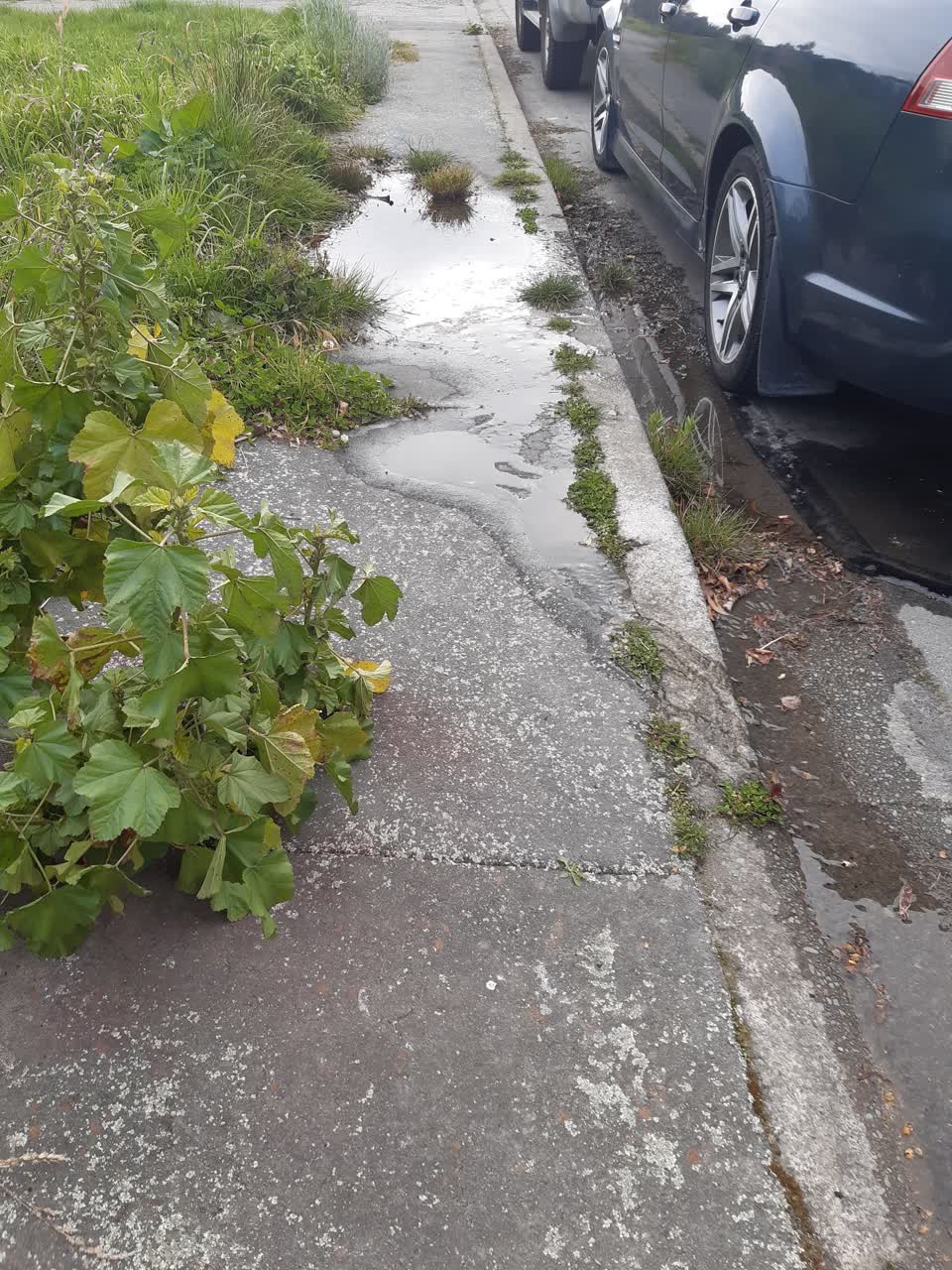The photograph attached to this water leak report
