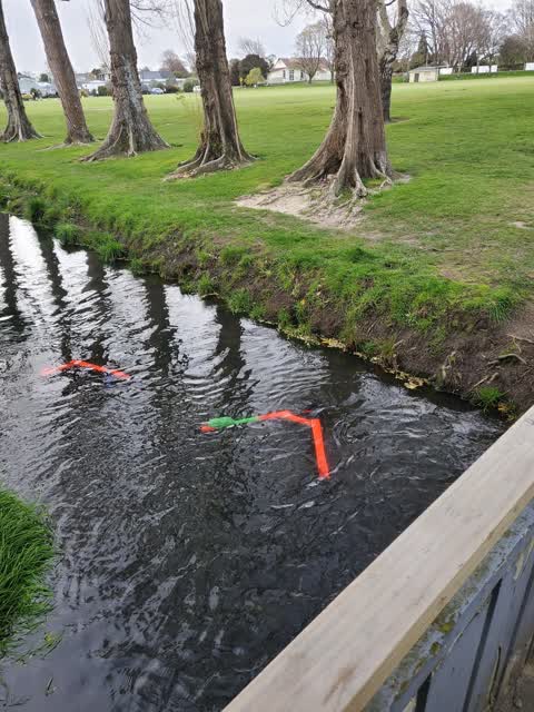 Parks — a report photo