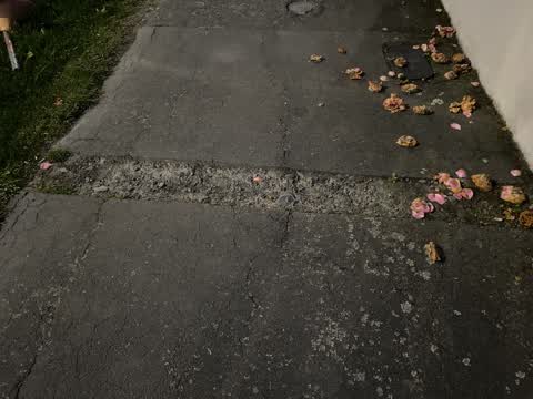 Roading/Streets, a report photo