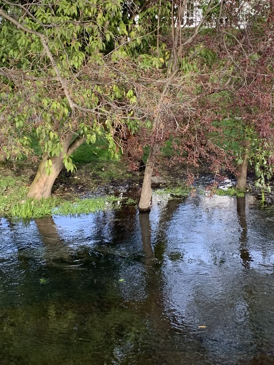 The photograph attached to this flooding report