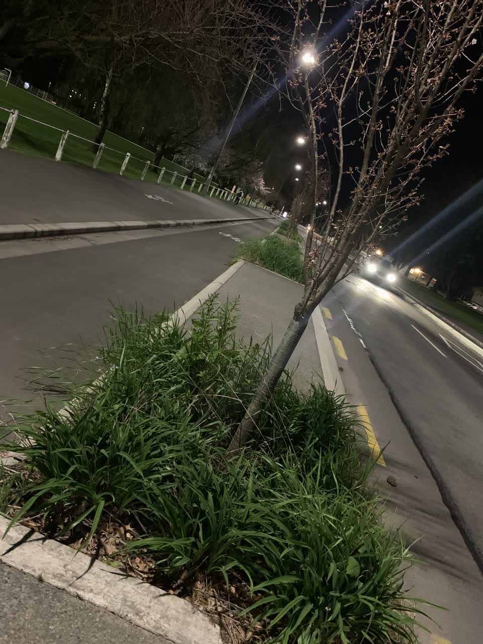 The photograph attached to this parks report