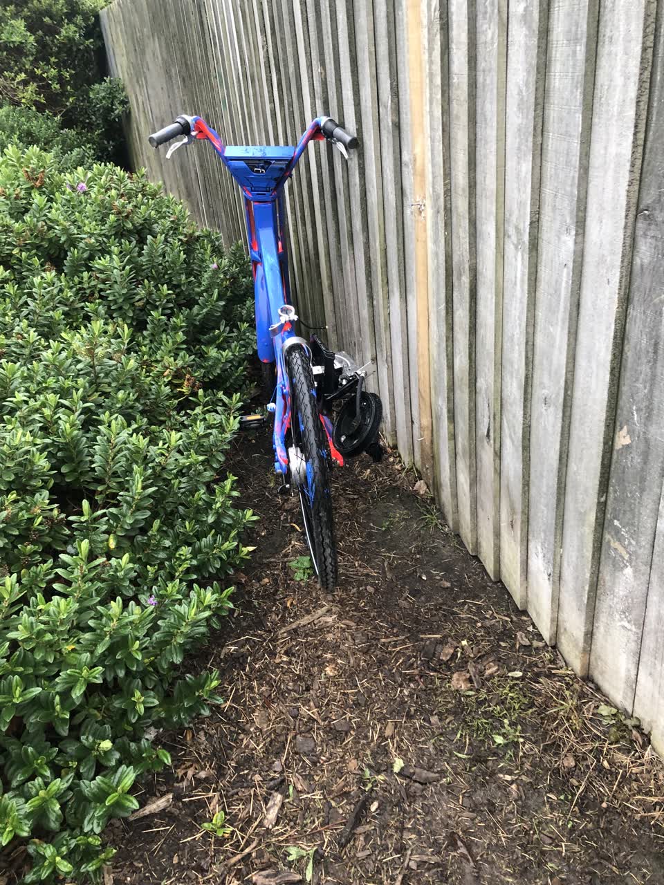The photograph attached to this parks report