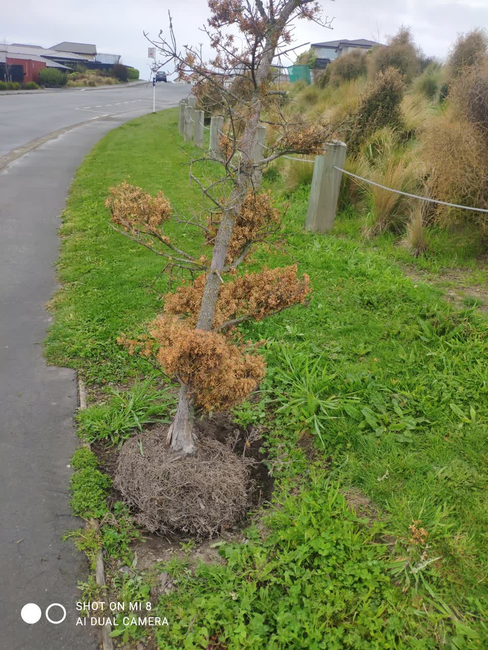 The photograph attached to this roading/streets report