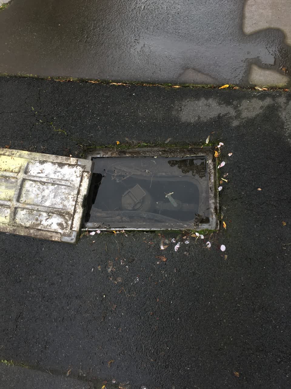 The photograph attached to this water supply report