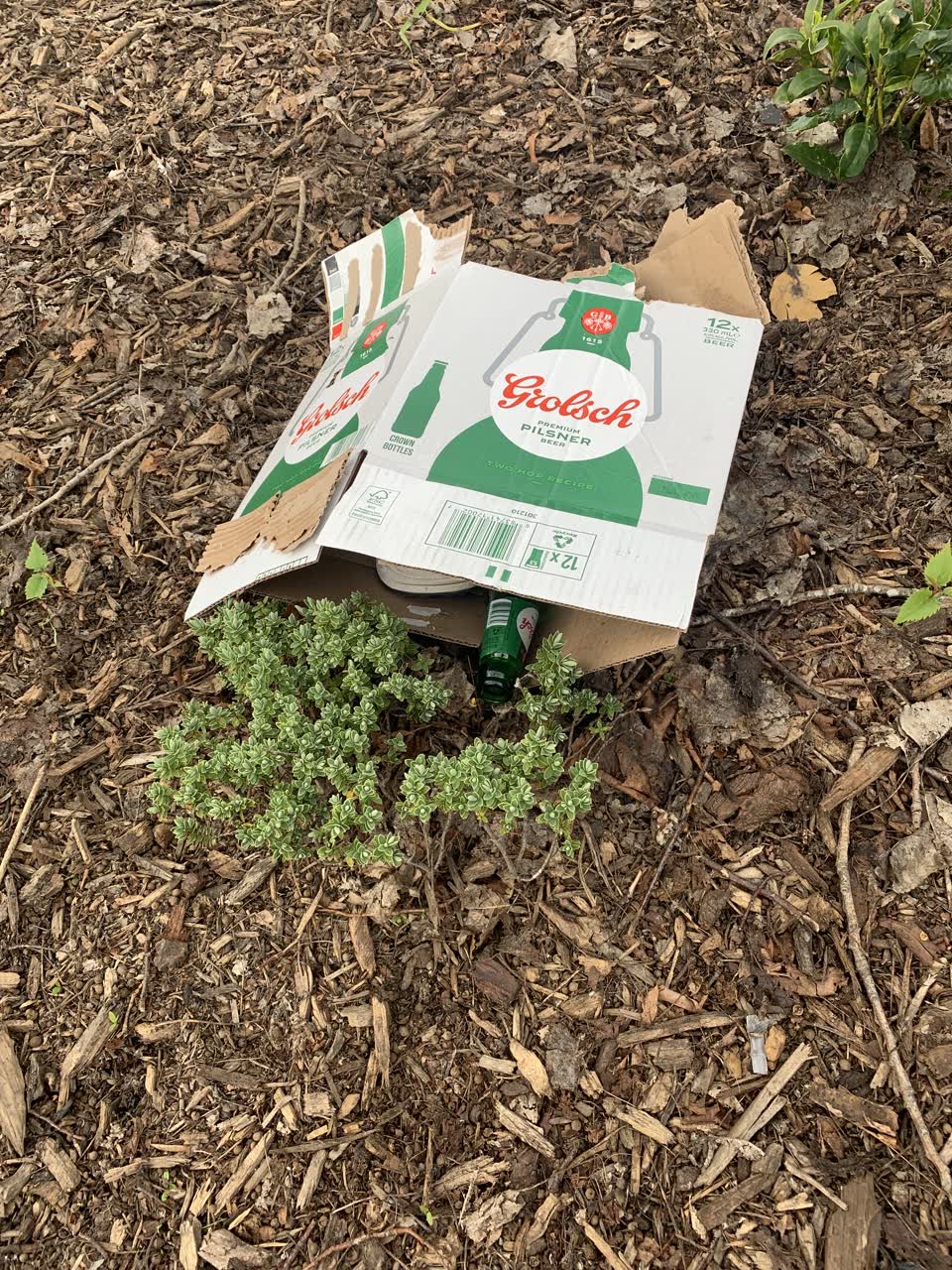 The photograph attached to this rubbish/recycling report
