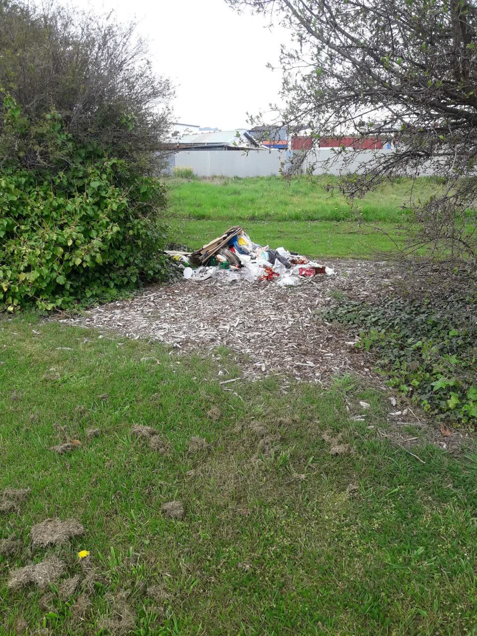 The photograph attached to this parks report