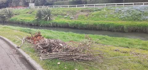 Rubbish/Recycling — a report photo
