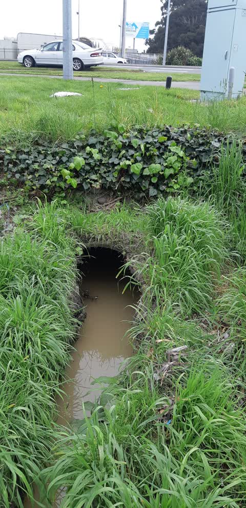 Wastewater/Stormwater, a report photo
