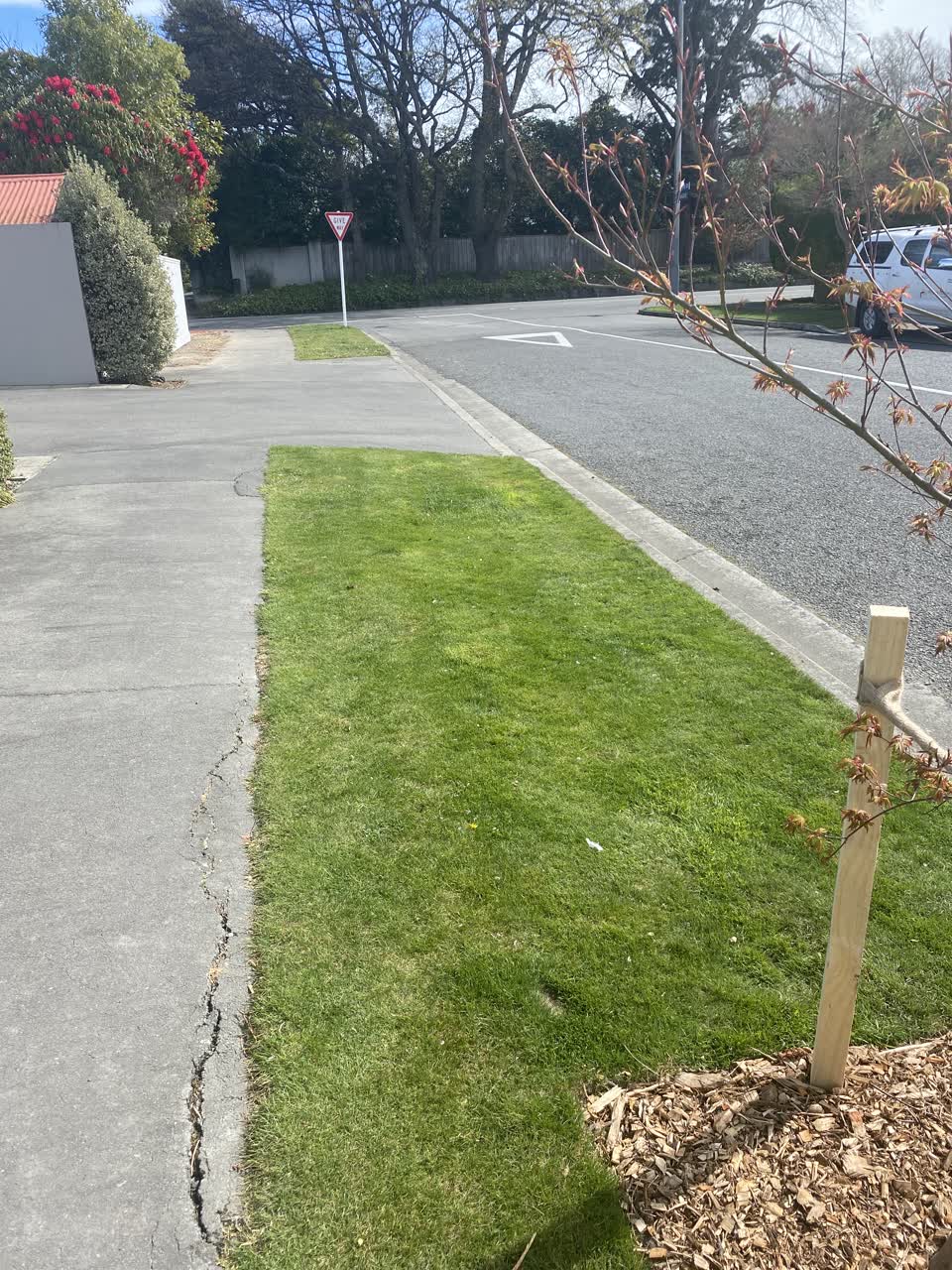 The photograph attached to this parks report
