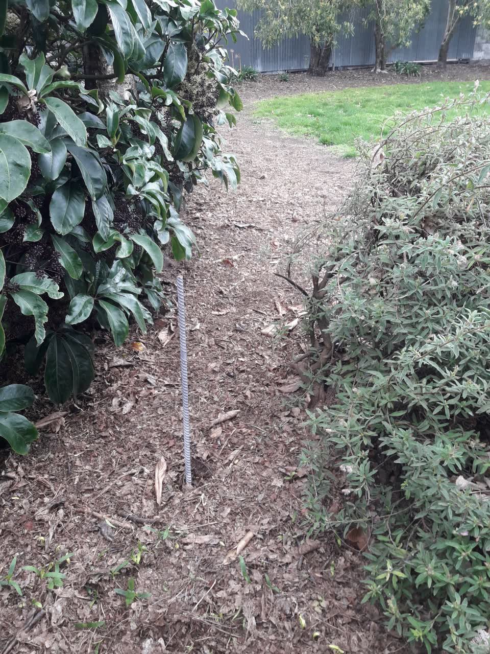 The photograph attached to this parks report