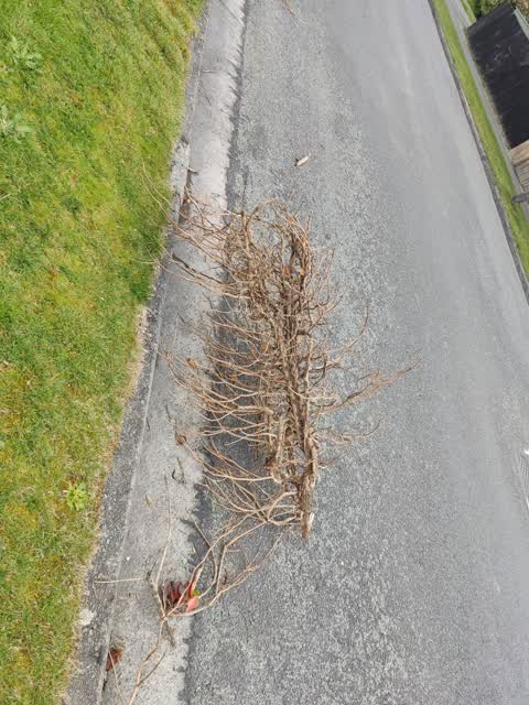 Rubbish/Recycling, a report photo