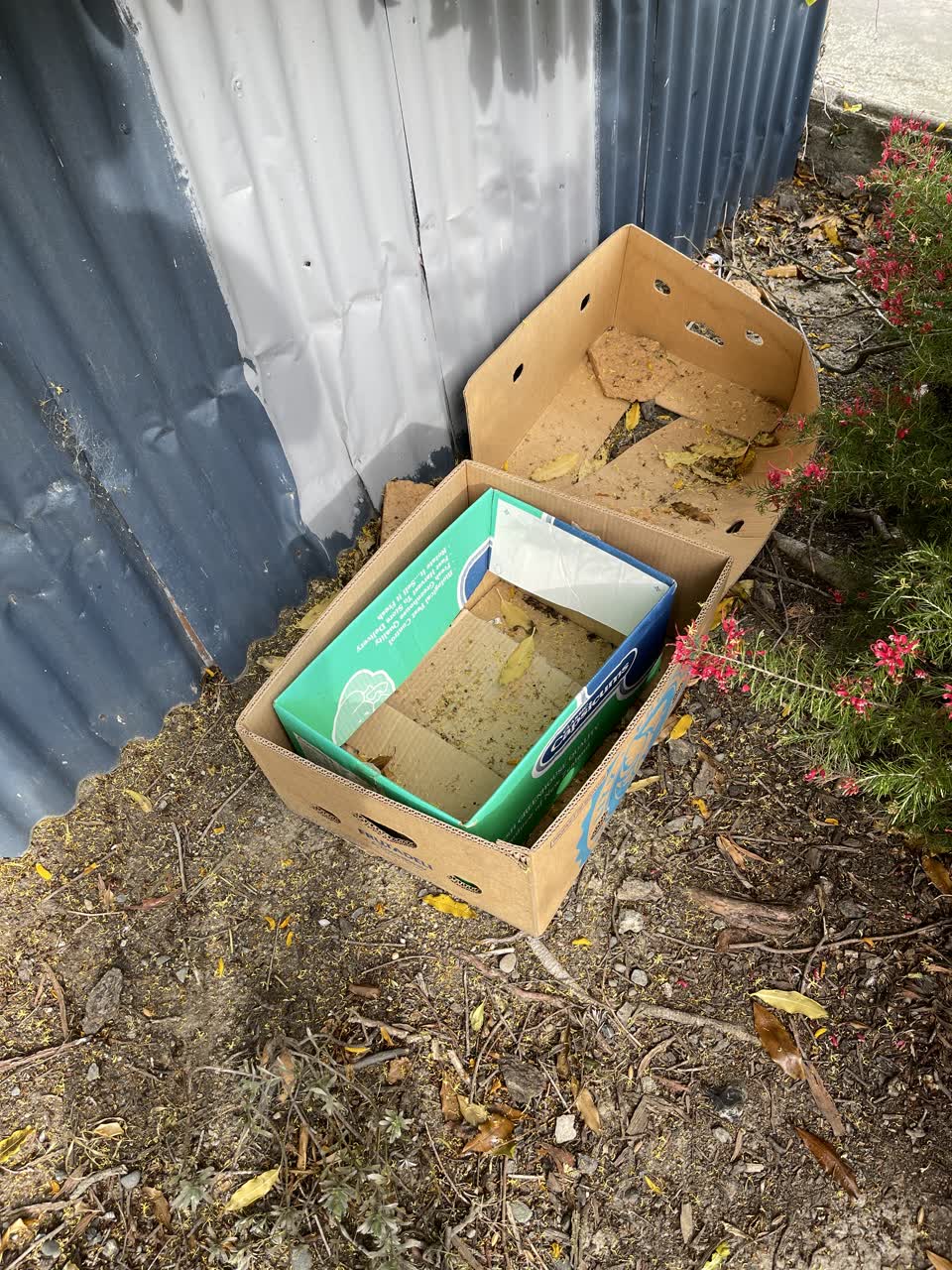The photograph attached to this rubbish/recycling report