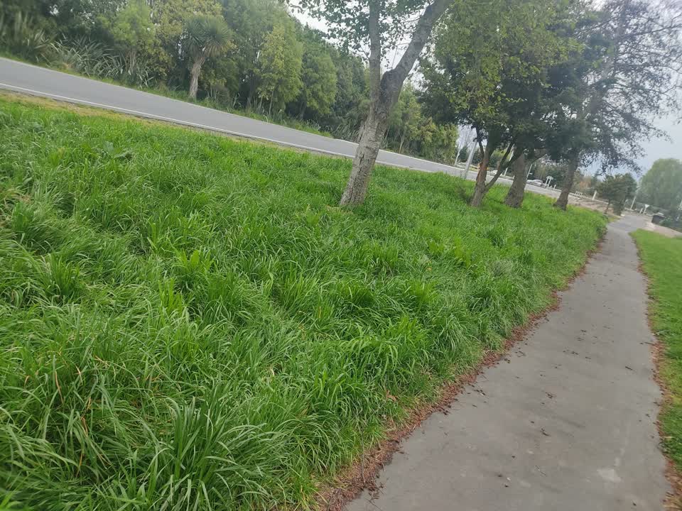 The photograph attached to this parks report