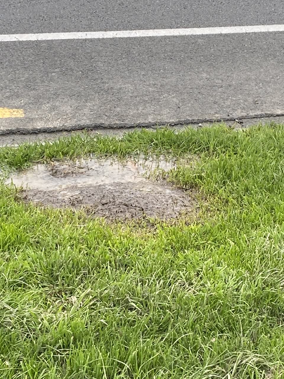 The photograph attached to this water leak report