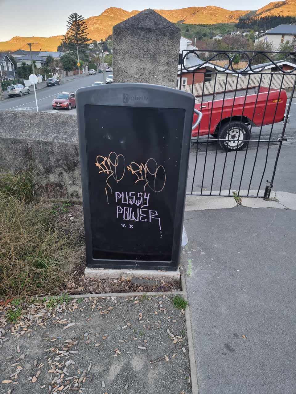 The photograph attached to this graffiti report