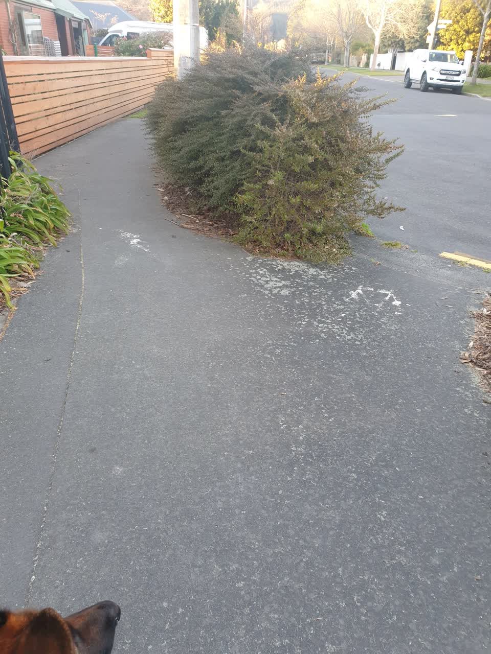 The photograph attached to this parks report