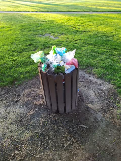 Rubbish/Recycling, a report photo