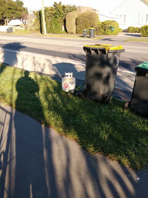 Rubbish/Recycling, a report photo