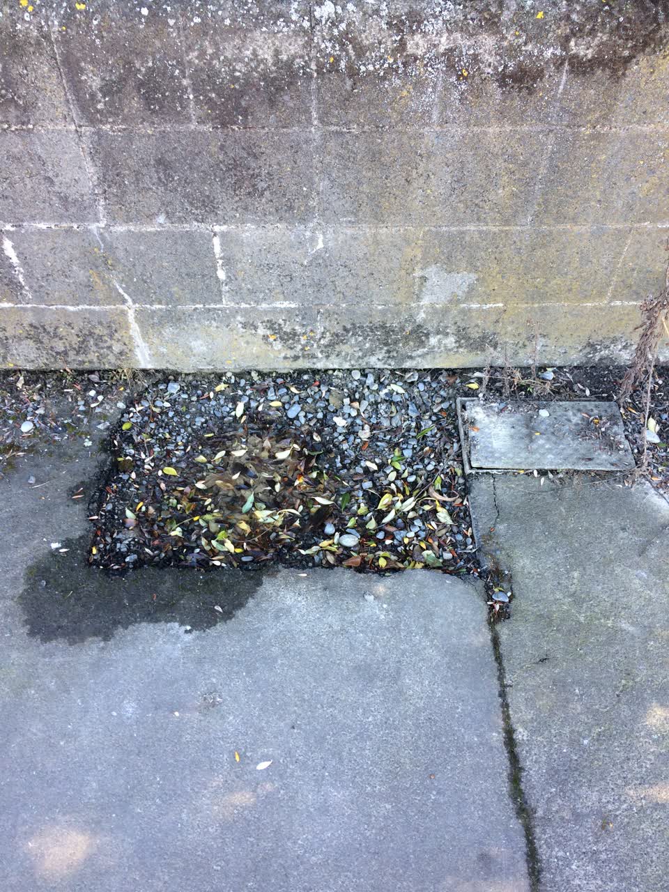 The photograph attached to this water leak report