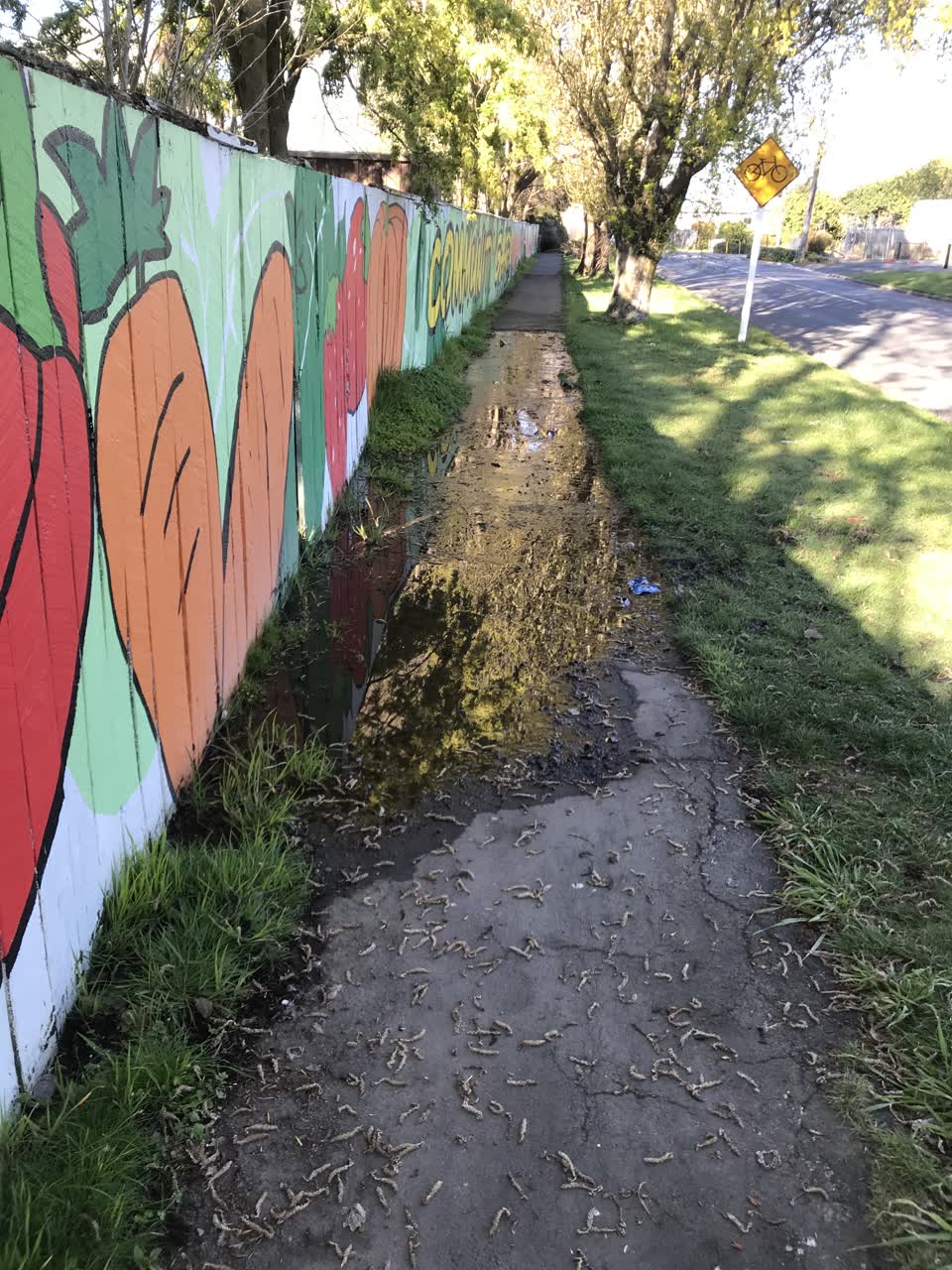 The photograph attached to this water leak report