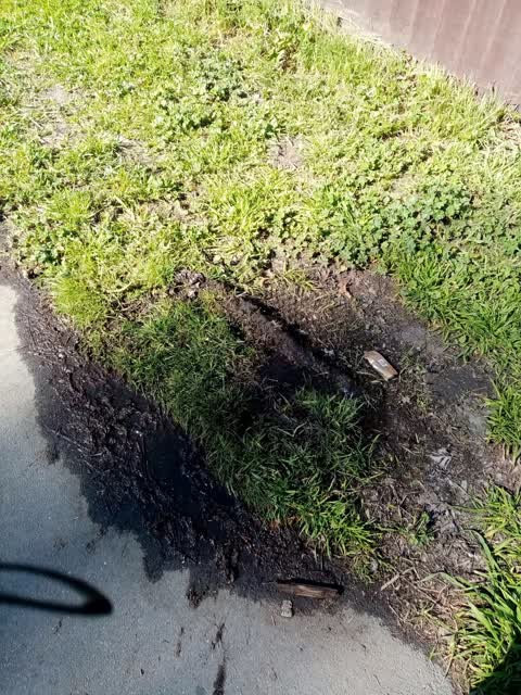 Water Leak, a report photo