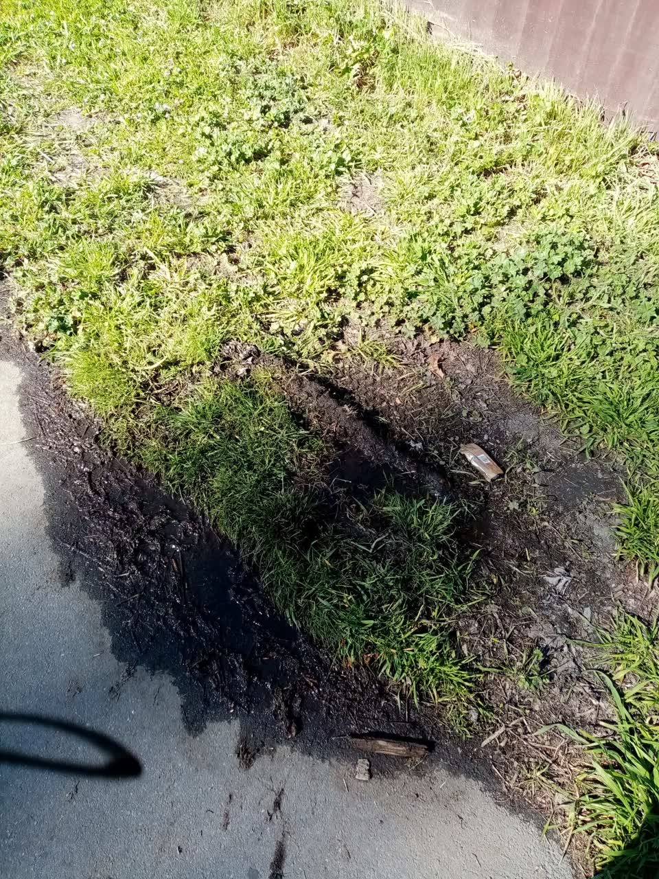 The photograph attached to this water leak report