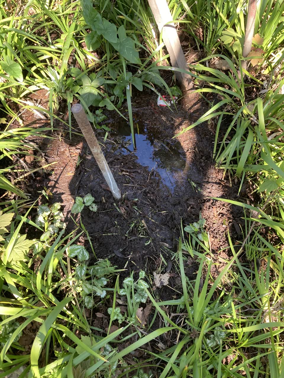 The photograph attached to this water leak report