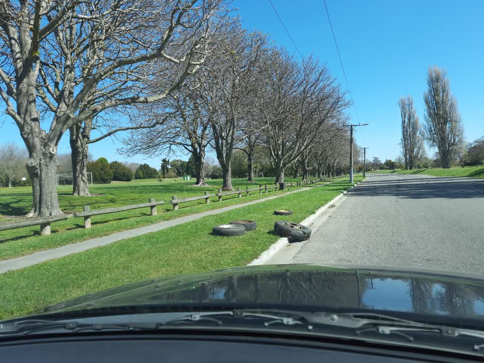 The photograph attached to this parks report